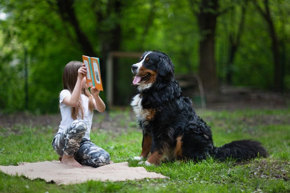 I bambini trovano la lettura con un animale meno ansiogena, lo considerano un momento speciale, utile e divertente. La chiave di successo della lettura assistita risiede nel fatto che i bambini stessi non si vedono più come soggetti coinvolti in un programma di recupero, ma si sentono utili in quanto tutor del cane. La lettura assistita è ideale per i bambini con disturbi specifici dell’apprendimento (DSA e BES), poiché aumenta l’alfabetizzazione e promuove l’amore per i libri e la lettura; migliora le abilità di lettura, di vocabolario, di comprensione del testo nonché l’autostima, la fiducia e le attitudini sociali favorendo in linea generale il rilassamento del bambino.